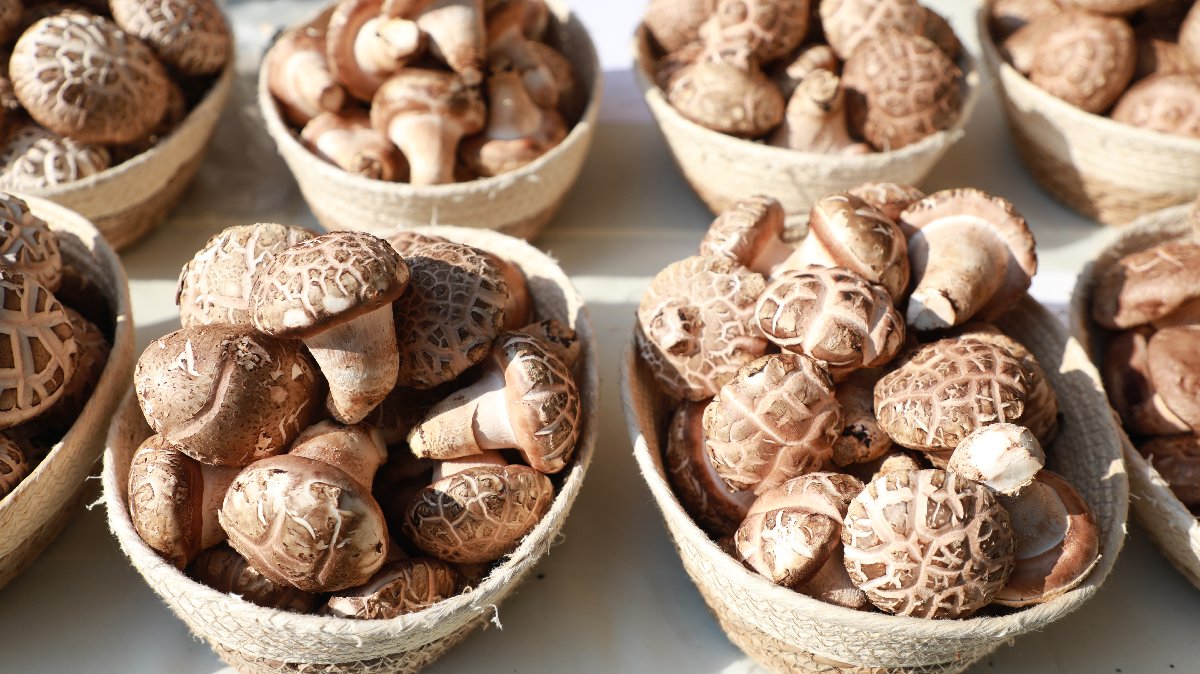 2026년 정기바자회 (45).JPG