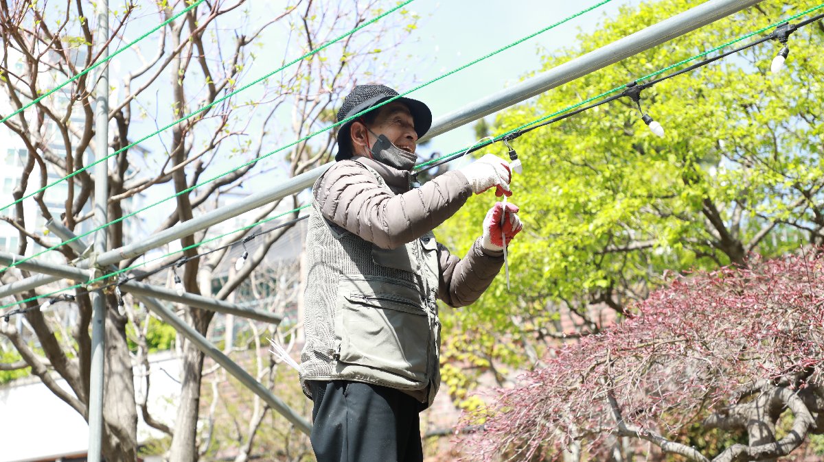 연등지지대설치부터 연등설치까지 (45).JPG