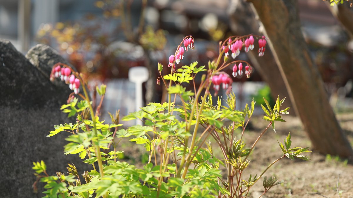 연등지지대설치부터 연등설치까지 (55).JPG