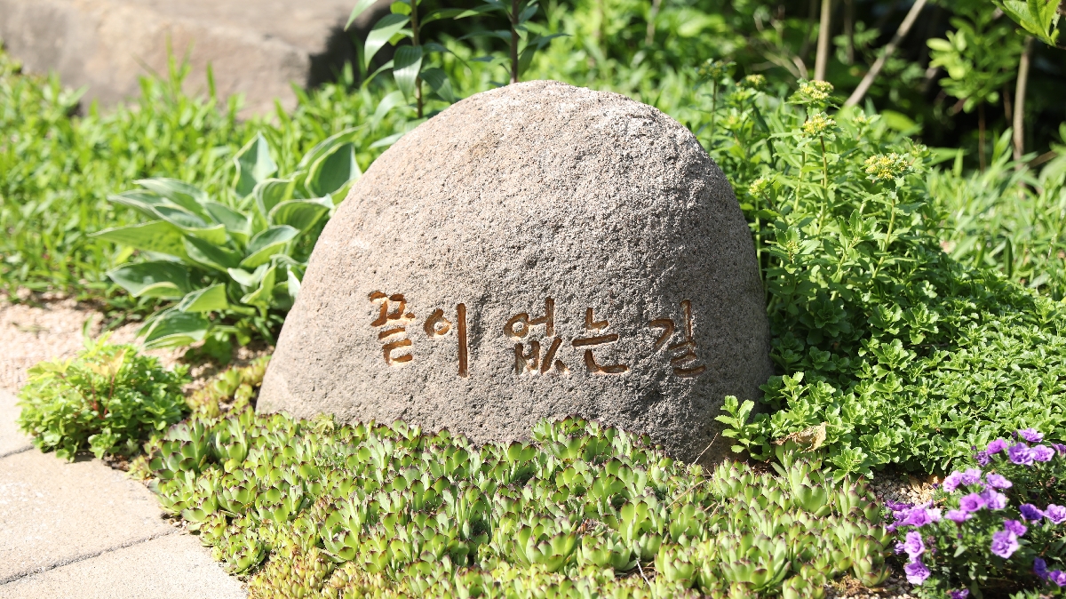 부처님오신날 (123).JPG