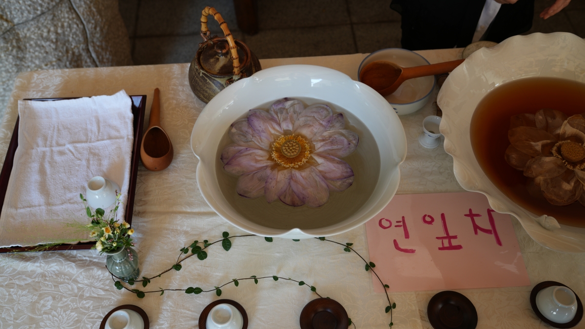 DSC08766.JPG